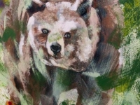 baer