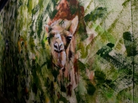 kamel